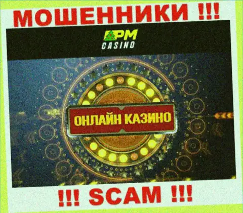 Тип деятельности махинаторов PM Casino - это Casino, но помните это разводняк !!!