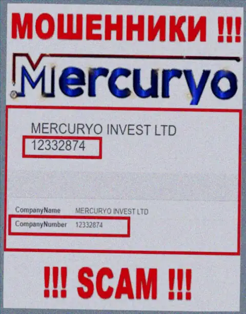 Номер регистрации неправомерно действующей организации Меркурио - 12332874