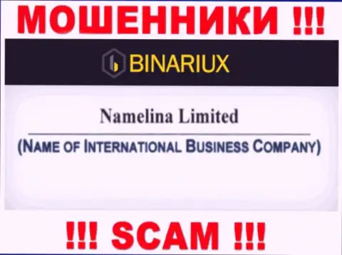 Binariux - это internet мошенники, а руководит ими Namelina Limited