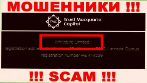 На web-ресурсе TrustMacquarie Capital отмечено, что этой компанией руководит Whitebird Limited