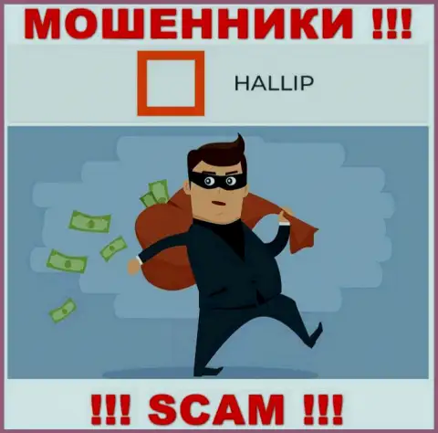 Взаимодействуя с компанией Hallip Вы не выведете ни копеечки - не отправляйте дополнительные финансовые активы