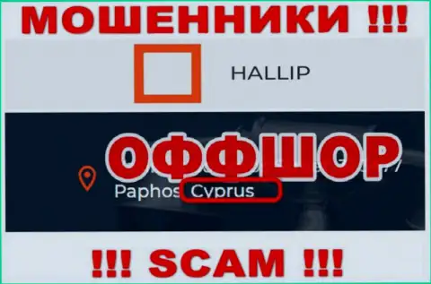 Лохотрон Hallip Com имеет регистрацию на территории - Cyprus