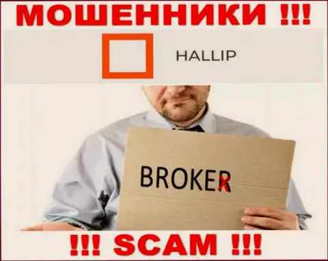 Направление деятельности мошенников Hallip - это Broker, однако знайте это обман !!!