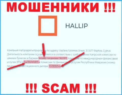 Не связывайтесь с мошенниками Hallip Com - существованием номера лицензии, на сайте, заманивают лохов