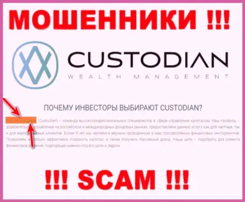 Юридическим лицом, владеющим интернет ворюгами Кустодиан, является ООО Кастодиан
