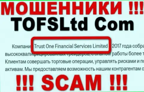 Свое юридическое лицо контора ТофсЛтд не скрыла - это Trust One Financial Services Limited