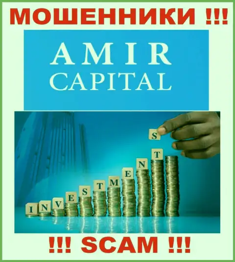 Не вводите денежные средства в Амир Капитал, сфера деятельности которых - Инвестирование