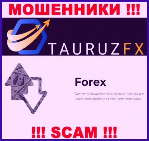 ФОРЕКС - это то, чем промышляют internet мошенники TauruzFX