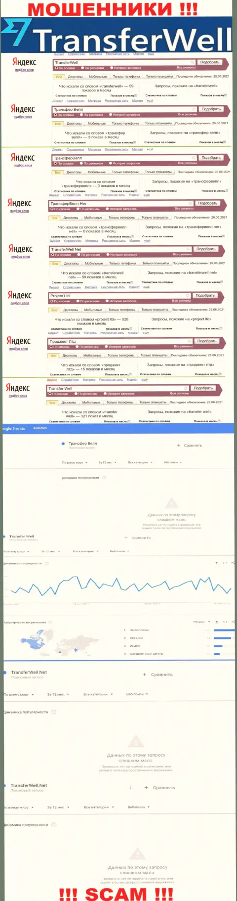 Количество поисковых запросов в поисковиках интернета по бренду махинаторов TransferWell