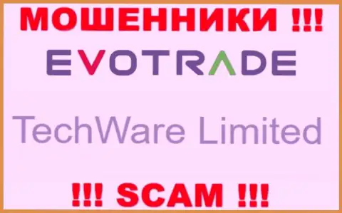 Юр лицом EvoTrade является - TechWare Limited