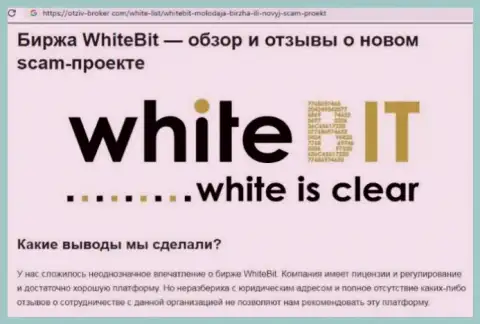 White Bit - это компания, сотрудничество с которой приносит только убытки (обзор махинаций)