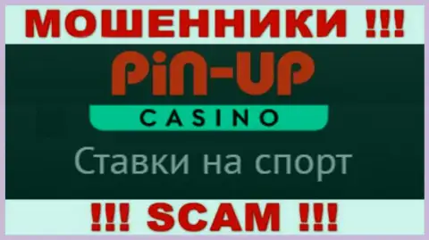 Основная работа PinUp Casino - это Casino, будьте крайне осторожны, прокручивают делишки неправомерно