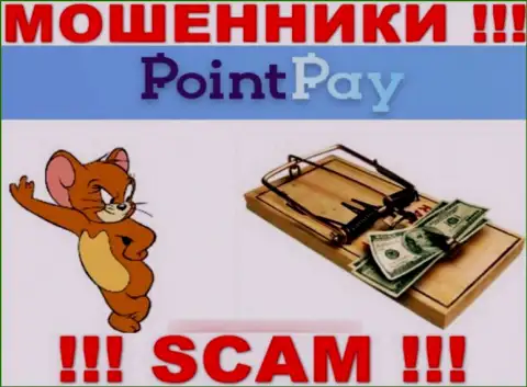 PointPay - это МОШЕННИКИ, не доверяйте им, если вдруг будут предлагать увеличить депозит