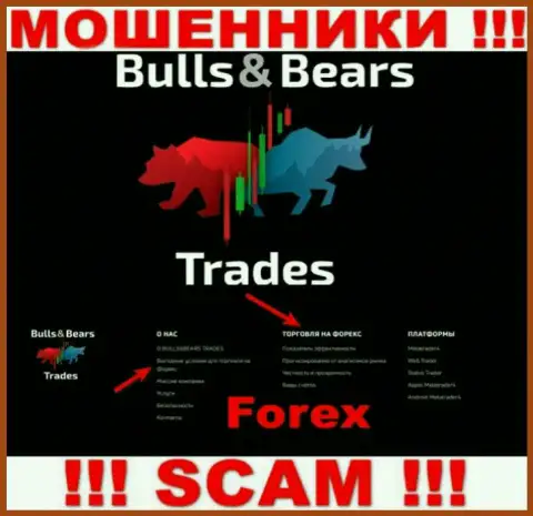 С BullsBears Trades, которые орудуют в области Форекс, не сможете заработать это разводняк
