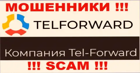 Юр. лицо TelForward - это Tel-Forward, именно такую инфу представили мошенники у себя на интернет-портале