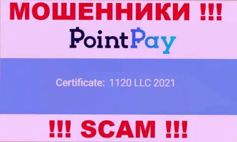 Регистрационный номер ПоинтПей Ио, который предоставлен аферистами на их web-портале: 1120 LLC 2021