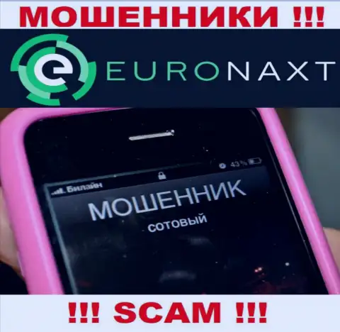 Вас хотят развести на деньги, EuroNaxt Com в поисках очередных лохов