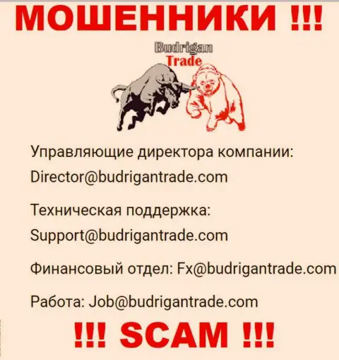 Не отправляйте сообщение на e-mail Budrigan Ltd - это интернет-мошенники, которые присваивают деньги лохов