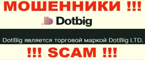 Dot Big - юридическое лицо обманщиков компания DotBig LTD