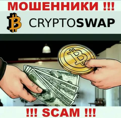 Не советуем верить Crypto Swap Net, предоставляющим услуги в области Криптовалютный обменник