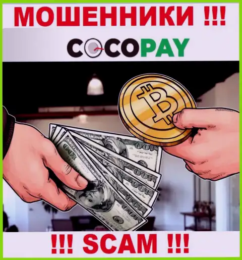 Не рекомендуем доверять деньги CocoPay, т.к. их сфера деятельности, Обменка, капкан