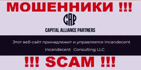 Юридическим лицом, владеющим ворюгами CapitalAlliancePartners, является Consulting LLC