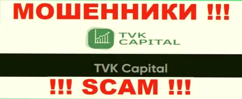 TVK Capital - это юридическое лицо internet-мошенников TVKCapital