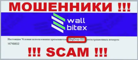 WallBitex - это МАХИНАТОРЫ !!! Управляет данным лохотроном BigDrop OÜ