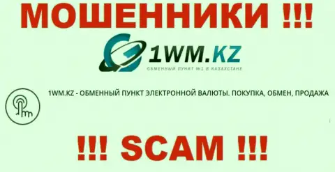 Деятельность мошенников 1WM Kz: Онлайн обменник - это замануха для неопытных клиентов