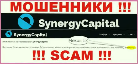 Юр. лицо, которое владеет разводилами Synergy Capital - это Нексус ЛЛК