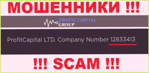 Регистрационный номер ProfitCapitalGroup, который указан мошенниками на их онлайн-сервисе: 12833413