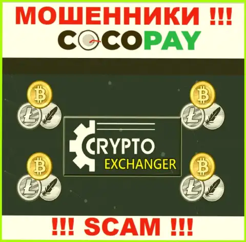 CocoPay - это бессовестные internet мошенники, вид деятельности которых - Online-обменник