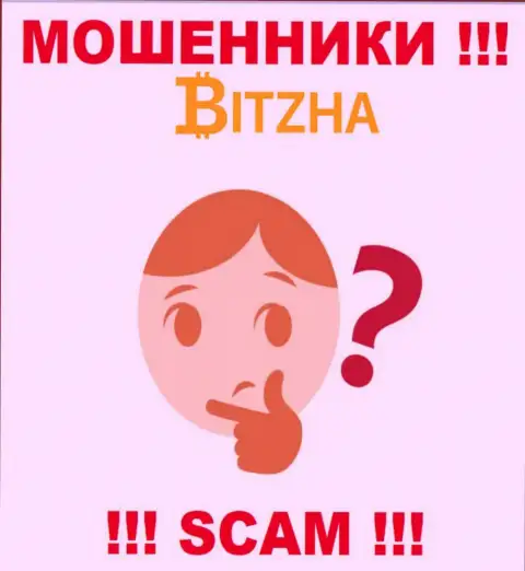 Хоть шанс забрать обратно деньги из дилинговой организации Bitzha24 Com не большой, однако все же он имеется, а значит опускать руки еще рано