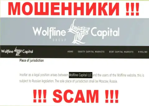 Юридическое лицо конторы Wolfline Capital - это Wolfline Capital LLC