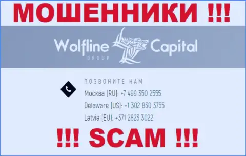 Будьте бдительны, вдруг если звонят с неизвестных номеров телефона, это могут оказаться internet ворюги Wolfline Capital