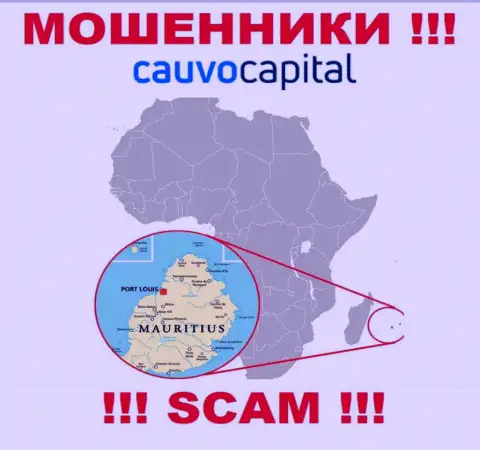 Организация КаувоКапитал Ком прикарманивает денежные активы лохов, расположившись в офшоре - Mauritius