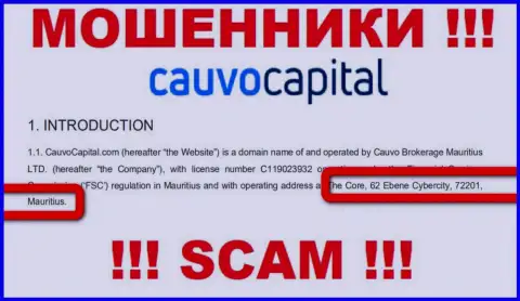 Невозможно забрать финансовые вложения у конторы КаувоКапитал Ком - они спрятались в офшоре по адресу The Core, 62 Ebene Cybercity, 72201, Mauritius